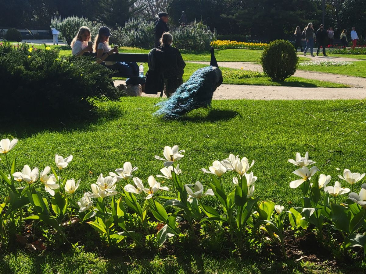 Take a Saturday Stroll with&nbsp;Me